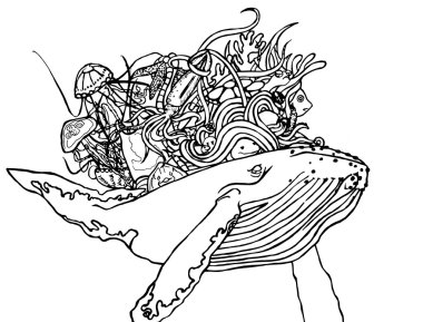 Deniz baba hayvanlarla doodle