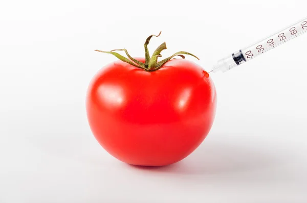 Modified tomato injected with syringe — Stock Photo, Image