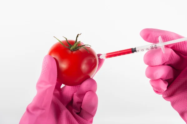 Tomate modificado inyectado con jeringa — Foto de Stock