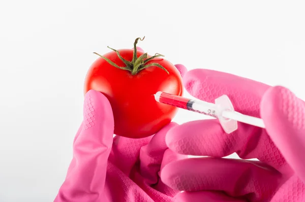 सुधारित टोमॅटो सिरिंजसह इंजेक्शन — स्टॉक फोटो, इमेज