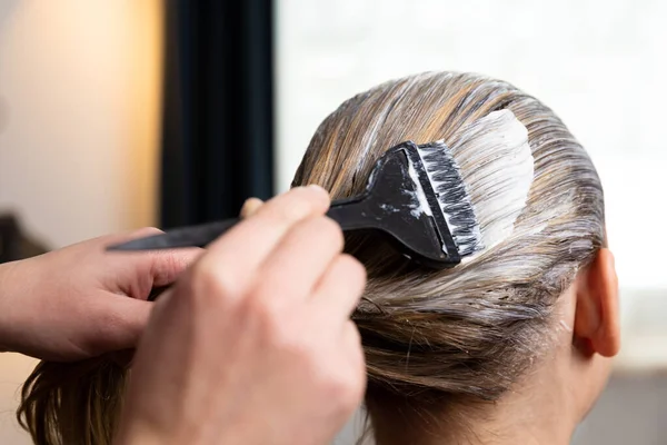 Frauen Färben Anderen Frauen Haare Während Sie Hause Bleiben Stockbild