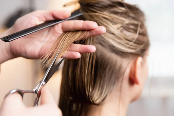 理发师剪头发时 金发碧眼的女人分头剪发 干枯的头发在家里或沙龙结束 — 图库照片