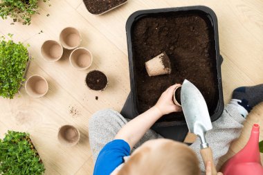 Tohumlara hazırlanan çömleklere toprak eken genç bir çocuk. Bahçecilik, evde hobiler ve botanik eğitimi..