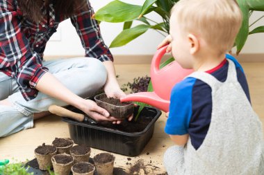 Ev hobileri, çocuklarla bahçecilik ve botanik eğitimi. Genç çocuk tohumlara su doldurup çürütüyor. Bahar zamanı aktiviteleri