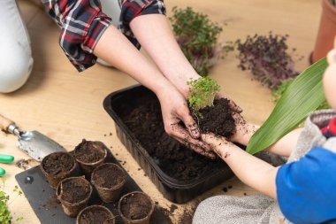 Anne, oğluna botanik öğretiyor. İkisi de toprak ve lahanayla dolu el ele tutuşuyor. Ev hobileri ve bahçe işleri konseptinde..
