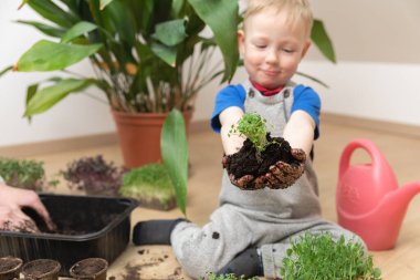 Evde büyümek, bahçıvanlık ve botanik konsepti. Genç çocuk gururla elinde tohum ve toprak tutuyor..