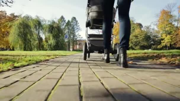 Annem Sonbaharda Renkli Ağaçlarla Dolu Bir Parkta Bebek Arabasıyla Yürüyor — Stok video