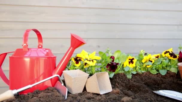 Tuiniers Handen Planten Bloemen Pot Met Vuil Grond Tuinbouwconcept — Stockvideo