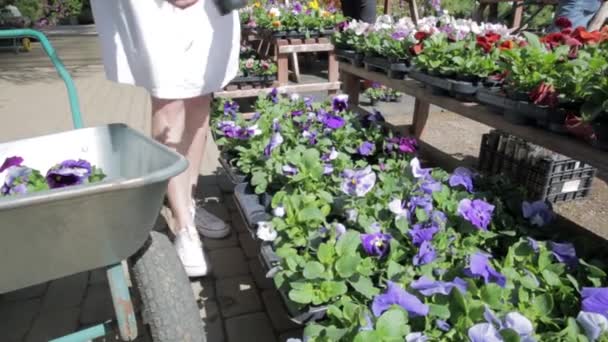 Kadın Çiçek Saksılarını Çocuk Yuvasından Seçiyor — Stok video
