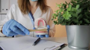Kadın dişçi klinikteki diş fırçasını ve diş modelini açıklıyor. Uzman konsepti ile diş sağlığı ve sağlık