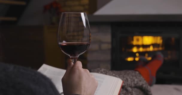 ワイングラスのあるソファの上に暖炉のある居心地の良い部屋に座っている愛のカップル 家族愛の概念 — ストック動画