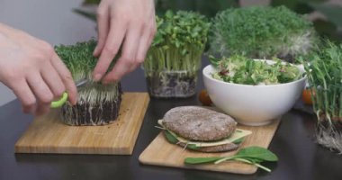 Kadınlar taze sebze ve sebzelerden taze çiğ vejetaryen salatası hazırlıyorlar. Evde yetişen süper yiyecekler sağlıklı yeme konsepti.