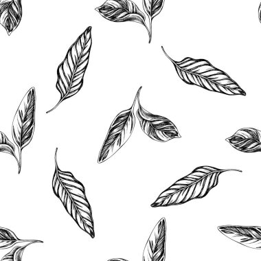 Siyah beyaz kalatea ile kusursuz desen