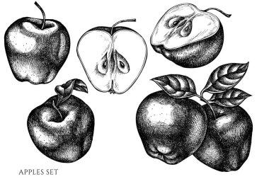 Elin vektör kümesi siyah ve beyaz elmalar çizilmiş
