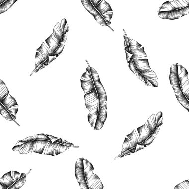 Siyah ve beyaz muz palmiyesi yapraklı kusursuz desen