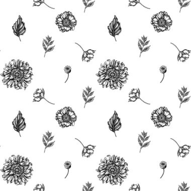 Siyah ve beyaz gelincik çiçeği, gerbera, ayçiçeği, süt otu, yıldız çiçeği, Veronica