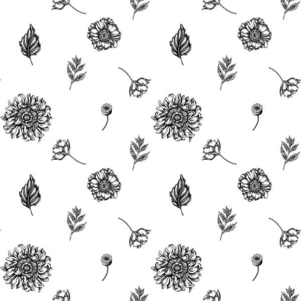 Siyah ve beyaz gelincik çiçeği, gerbera, ayçiçeği, süt otu, yıldız çiçeği, Veronica