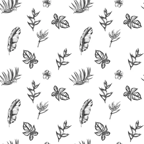 Бесшовный рисунок с черно-белыми монстрами, банановыми пальмовыми листьями, стрелицей, геликонией, тропическими пальмовыми листьями, орхидеей — стоковый вектор