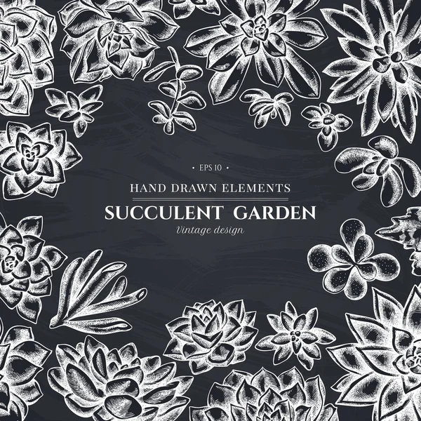 Diseño floral con tiza suculenta echeveria, suculenta echeveria, suculenta — Archivo Imágenes Vectoriales