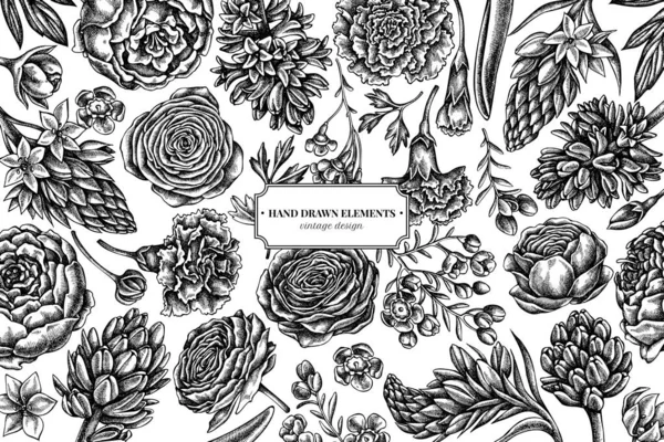 黒と白の牡丹、カーネーション、ランヌクルス、ワックスの花、 Ornithogalum 、ヒアシンスと花のデザイン — ストックベクタ