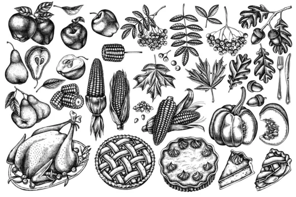 Vektor-Set von handgezeichneten schwarz-weißen Kürbis, Gabel, Messer, Birnen, Truthahn, Kürbiskuchen, Apfelkuchen, Mais, Äpfel, Eberesche, Ahorn, Eiche — Stockvektor