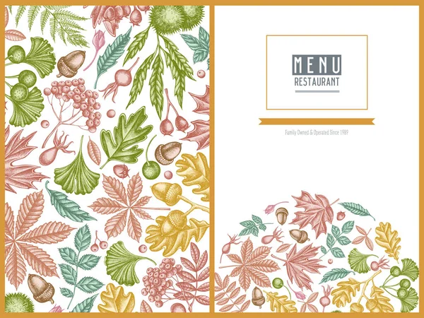 Menu cover design with pastel fern, dog rose, rowan, ginkgo, maple, oak, horse chestnut, chestnut, hawthorn — Stock Vector