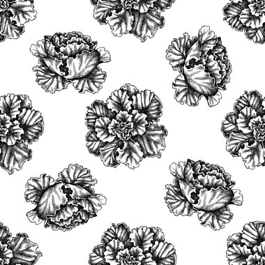 Siyah ve beyaz lahanalı kusursuz desen.