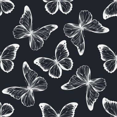 Elle çizilmiş tebeşir rengi menelaus mavi morpho, mavi morpho