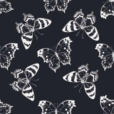 Kusursuz desenli, el yapımı tebeşirli alcides agyrsus, ormanın anası.