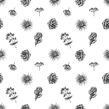 Siyah ve beyaz viburnum, hiperikum, lale, aster, lökosadendron, amilis...