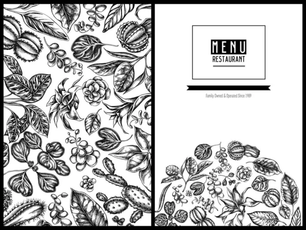 Cubierta de menú de diseño floral con ficus blanco y negro, iresina, kalanchoe, calatea, guzmania, cactus — Vector de stock