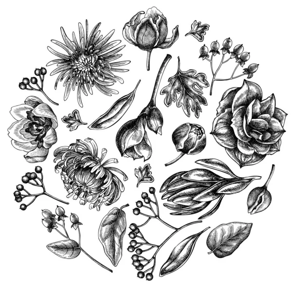 Yuvarlak çiçek desenli siyah-beyaz viburum, hypericum, lale, aster, lökosadendron, amilis
