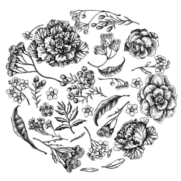 Ronde bloemmotief met zwarte en witte was bloem, vergeet me niet bloem, viooltje, ardisia, brassica, decoratieve kool — Stockvector