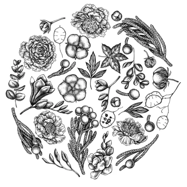 Rundflorales Design mit schwarzem und weißem Ficus, Eukalyptus, Pfingstrose, Baumwolle, Freesien, Brunia — Stockvektor