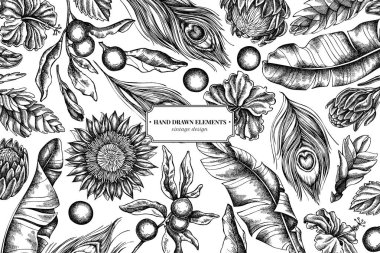 Siyah ve beyaz muz palmiyesi yaprakları, amber çiçeği, solanum, bromeliad, tavus kuşu tüyleri, protea