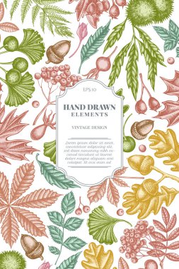 Pastel eğreltiotu, köpek gülü, rowan, ginkgo, akçaağaç, meşe, at kestanesi, kestane, dikenli