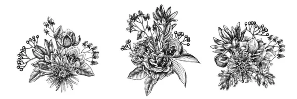 Buquê de flores de viburno preto e branco, hipericum, tulipa, aster, leucadendron, amaryllis — Vetor de Stock