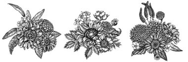 Siyah ve beyaz gelincik çiçeği, gerbera, ayçiçeği, süt otu, yıldız çiçeği, Veronica