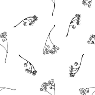 Siyah ve beyaz ardisiya ile kusursuz desen