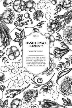 Siyah beyaz incir ağacı, okaliptüs, şakayık, pamuk, frezya, brunya