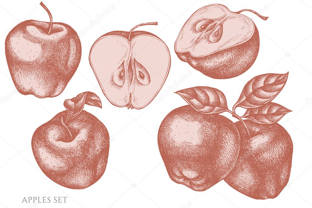 Vector set of hand drawn pastel apples