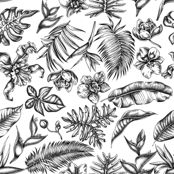 Motif sans couture avec monstère noire et blanche, feuilles de palmier bananier, strelitzia, héliconie, feuilles de palmier tropical, orchidée — Image vectorielle