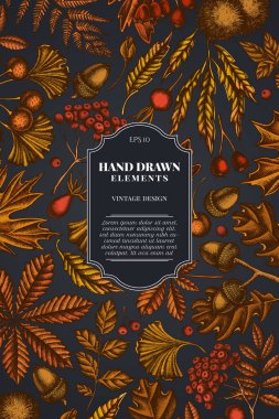 Eğreltiotu, köpek gülü, rowan, ginkgo, akçaağaç, meşe, at kestanesi, kestane, dikenli