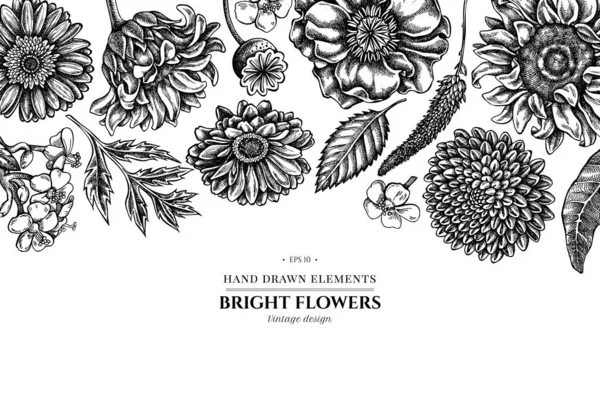 Diseño floral con flor de amapola en blanco y negro, gerbera, girasol, algodoncillo, dalia, verónica — Vector de stock