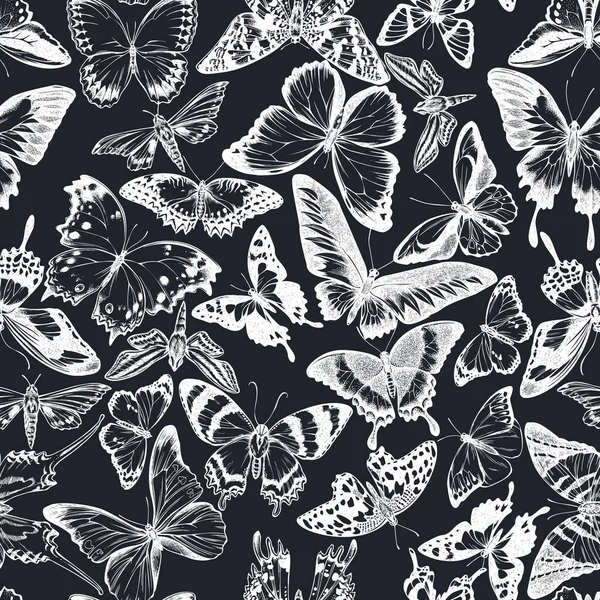 Seamless pattern with hand drawn chalk jungle queens, plain tiger, rajah brooke s birdwing, papilio torquatus — Stock Vector