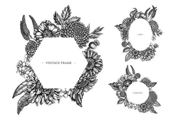 Marcos florales con flor de amapola en blanco y negro, gerbera, girasol, algodoncillo, dalia, verónica — Archivo Imágenes Vectoriales