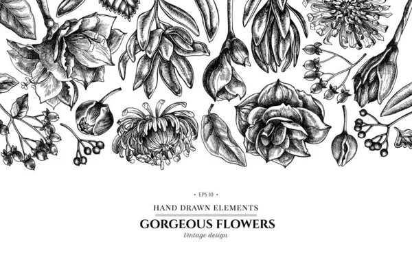 Desenho floral com viburno preto e branco, hipericum, tulipa, aster, leucadendron, amarílis —  Vetores de Stock