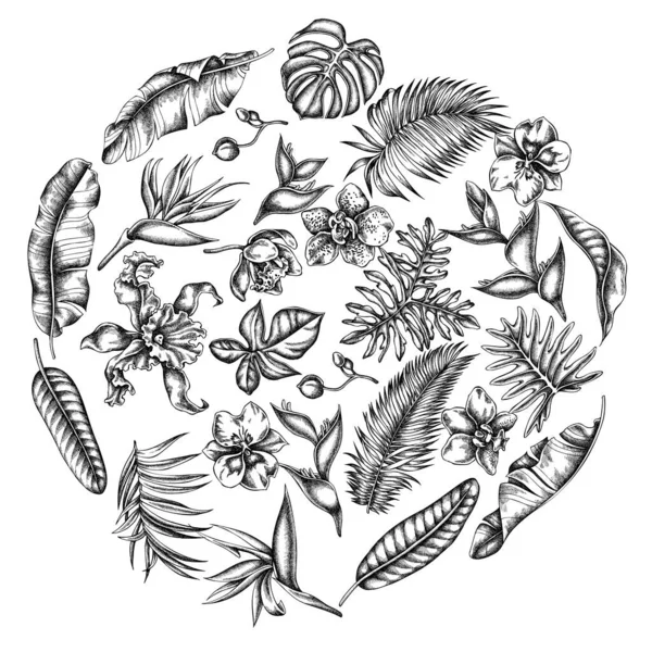 圆形花卉图案，有黑白相间的杏仁、香蕉棕榈叶、紫锥菊、芙蓉、热带棕榈叶、兰花 — 图库矢量图片