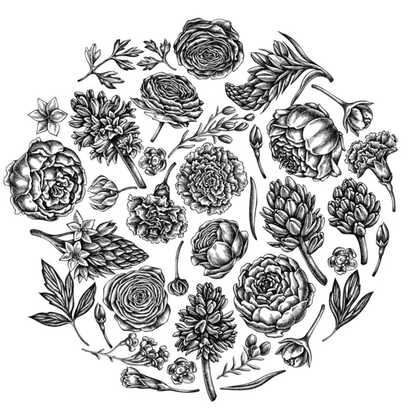 Diseño floral redondo con peonía negra y blanca, clavel, ranúnculo, flor de cera, ornitogalo, jacinto — Vector de stock