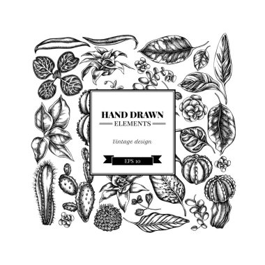 Siyah beyaz çiçekli kare desenli, iresine, kalanchoe, calathea, guzmania, kaktüs